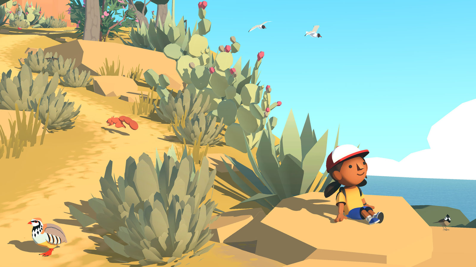 A girl in a cap sitting among cactus and agave on a sunny coastal hill, with birds nearby